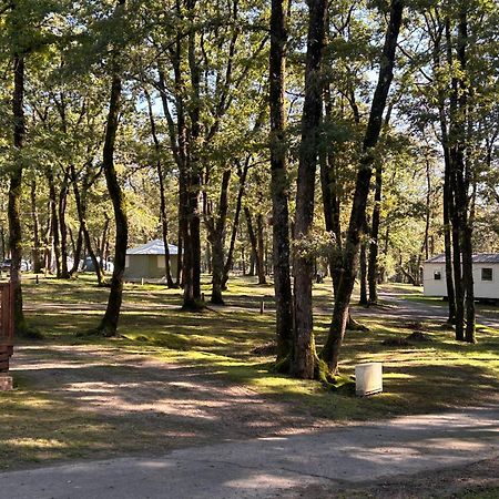 Camping Les Petites Minaudieres Coussay-les-Bois エクステリア 写真